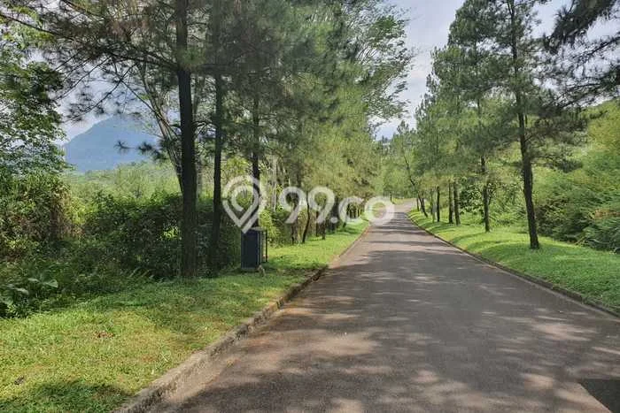 Lahan Kosong Dijual di Babakan Madang, Bogor, Luas 1663m2 Area Strategis Lahan Kosong Dijual di Babakan Madang, Bogor, Luas 1663m2 Area Strategis