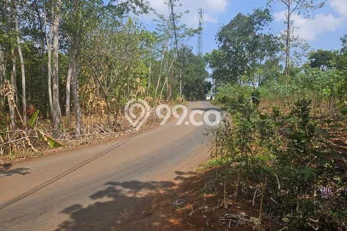 Tanah Dijual Lokasi Tulis, Batang Luas 27730m2 Legalitas Aman Tanah Dijual Lokasi Tulis, Batang Luas 27730m2 Legalitas Aman