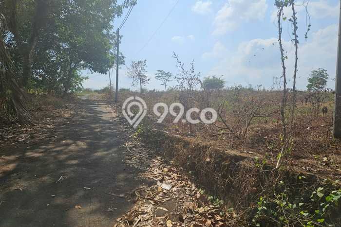 Tanah Dijual Lokasi Tulis, Batang Luas 27730m2 Legalitas Aman Tanah Dijual Lokasi Tulis, Batang Luas 27730m2 Legalitas Aman