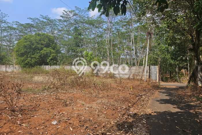 Tanah Dijual Lokasi Tulis, Batang Luas 27730m2 Legalitas Aman Tanah Dijual Lokasi Tulis, Batang Luas 27730m2 Legalitas Aman