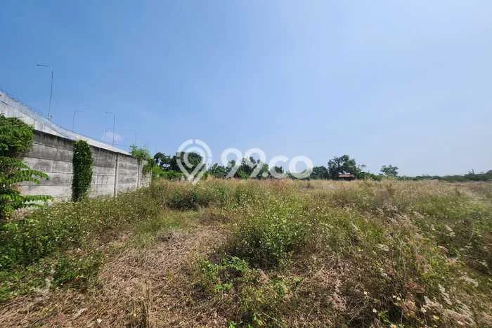 Tanah Kosong Dijual di Demak dengan Area 12826m2 Tanah Kosong Dijual di Demak dengan Area 12826m2