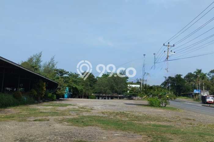 Tanah Dijual Lokasi Gringsing, Batang dengan Luas Tanah 20000m2 dan Status SHM Tanah Dijual Lokasi Gringsing, Batang dengan Luas Tanah 20000m2 dan Status SHM