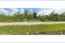 Kavling Tanah di Balikpapan Utara Dijual Luas 3144m2 Legalitas - Kavling Tanah di Balikpapan Utara Dijual Luas 3144m2 Legalitas -