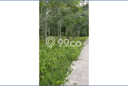 Tanah Dijual Area Strategis di Lamaru Balikpapan 28109m2 Tanah Dijual Area Strategis di Lamaru Balikpapan 28109m2