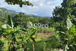 Tanah Kavling Dijual di Bogor dengan Spesifikasi 14000m2 Tanah Kavling Dijual di Bogor dengan Spesifikasi 14000m2