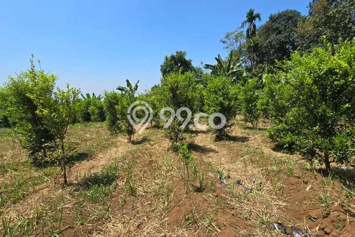 Lahan untuk Dijual di Cugenang Cianjur Luas 2200m2 Lahan untuk Dijual di Cugenang Cianjur Luas 2200m2