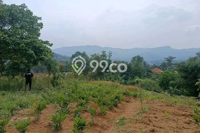 Tanah di Sukamakmur, Luas 3999m², Jalur Strategis, Area Prospektif Tanah di Sukamakmur, Luas 3999m², Jalur Strategis, Area Prospektif
