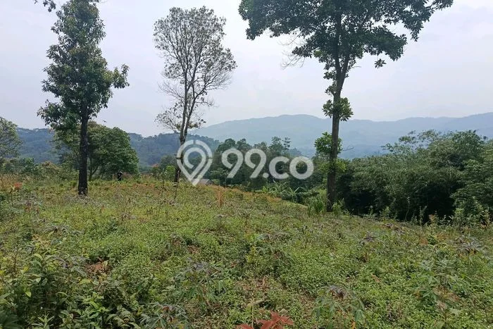 Dijual Tanah Kawasan Sukamakmur, Luas 4050m², Akses Strategis Dijual Tanah Kawasan Sukamakmur, Luas 4050m², Akses Strategis