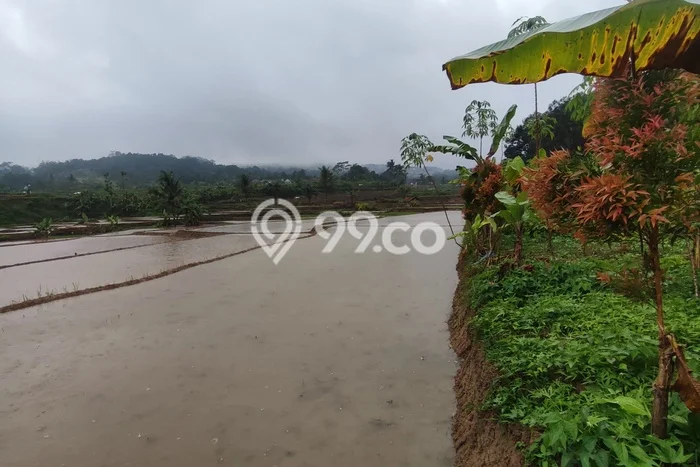 Tanah Dijual Lokasi Sukamakmur, Bogor Luas 2644m2 Legalitas Aman Tanah Dijual Lokasi Sukamakmur, Bogor Luas 2644m2 Legalitas Aman