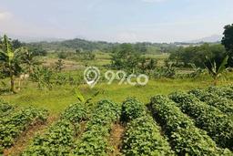 Lahan Dijual Lokasi Sukamakmur, Bogor dengan Luas Tanah 3435m2 dan Status SHM Lahan Dijual Lokasi Sukamakmur, Bogor dengan Luas Tanah 3435m2 dan Status SHM