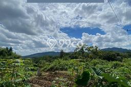 Lahan untuk Dijual di Sukamakmur Bogor Luas 440m2 Lahan untuk Dijual di Sukamakmur Bogor Luas 440m2