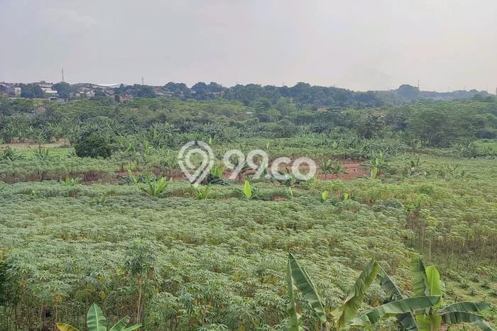 Lahan Investasi Lokasi Citeureup Bogor - Lahan Investasi Lokasi Citeureup Bogor -
