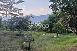Kavling Tanah Dijual di Sukamakmur, Bogor, Luas 40000m2 Area Strategis Kavling Tanah Dijual di Sukamakmur, Bogor, Luas 40000m2 Area Strategis