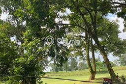 Lahan Investasi Lokasi Sukaraja Bogor SHM Lahan Investasi Lokasi Sukaraja Bogor SHM