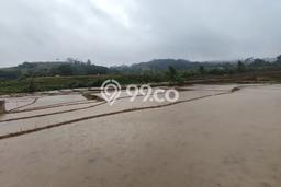 Tanah Dijual Lokasi Sukamakmur, Bogor Luas 2644m2 Legalitas Aman Tanah Dijual Lokasi Sukamakmur, Bogor Luas 2644m2 Legalitas Aman