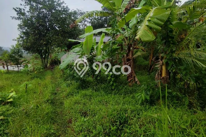 Tanah Dijual Lokasi Sukamakmur, Bogor Luas 2644m2 Legalitas Aman Tanah Dijual Lokasi Sukamakmur, Bogor Luas 2644m2 Legalitas Aman