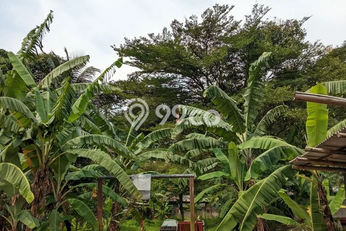 Kavling Tanah untuk Dijual di Katulampa, Bogor, Luas 1700m2 Kavling Tanah untuk Dijual di Katulampa, Bogor, Luas 1700m2