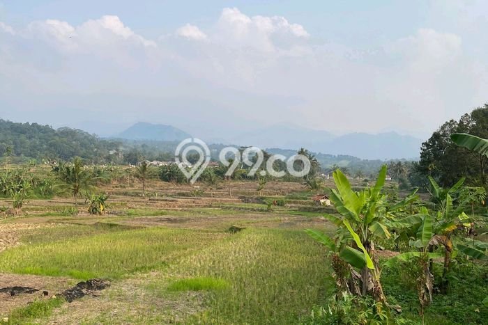 Kavling Tanah Dijual di Sukamakmur Bogor Spesifikasi 2600m2 Kavling Tanah Dijual di Sukamakmur Bogor Spesifikasi 2600m2