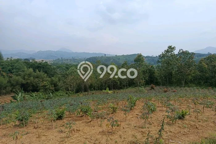 Dijual Tanah Kawasan Sukamakmur, Luas 4050m², Akses Strategis Dijual Tanah Kawasan Sukamakmur, Luas 4050m², Akses Strategis