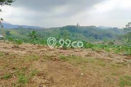 Tanah Area Berkembang Kawasan Sukamakmur, Luas 5572m2m², Dekat ke Pusat Kota Tanah Area Berkembang Kawasan Sukamakmur, Luas 5572m2m², Dekat ke Pusat Kota