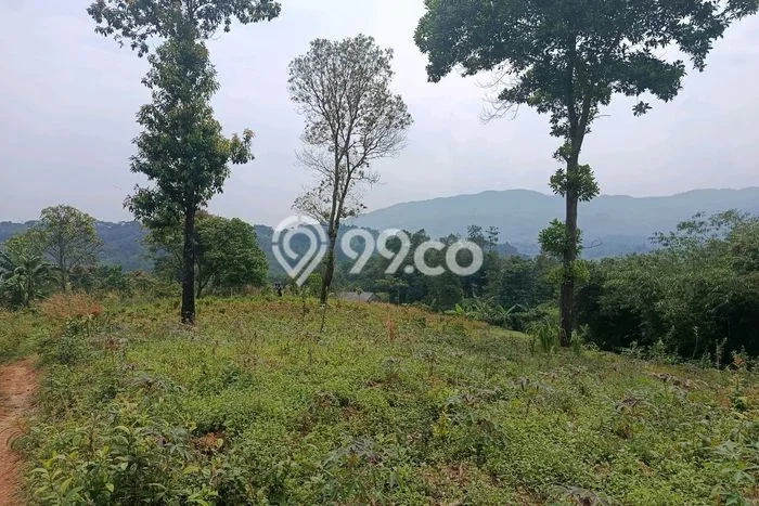Dijual Tanah Kawasan Sukamakmur, Luas 4050m², Akses Strategis Dijual Tanah Kawasan Sukamakmur, Luas 4050m², Akses Strategis
