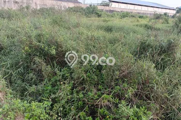 Tanah untuk Disewakan di Jaten Karanganyar SHM Tanah untuk Disewakan di Jaten Karanganyar SHM