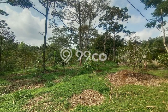 Dijual Tanah di Mojogedang, Luas 2700m², Area Potensial Dijual Tanah di Mojogedang, Luas 2700m², Area Potensial