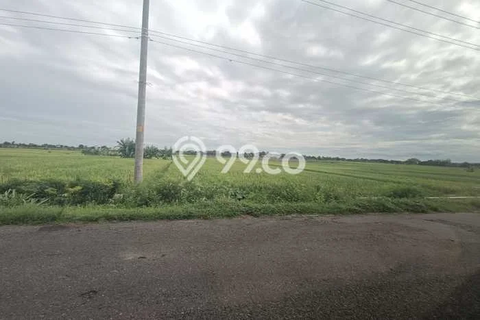 Lahan Strategis di Tasikmadu Dijual dengan Luas 3560m2 Lahan Strategis di Tasikmadu Dijual dengan Luas 3560m2