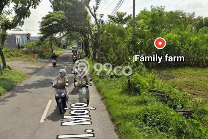 Tanah Kosong Disewakan di Tasikmadu, Karanganyar, Luas 3500m2 Tanah Kosong Disewakan di Tasikmadu, Karanganyar, Luas 3500m2