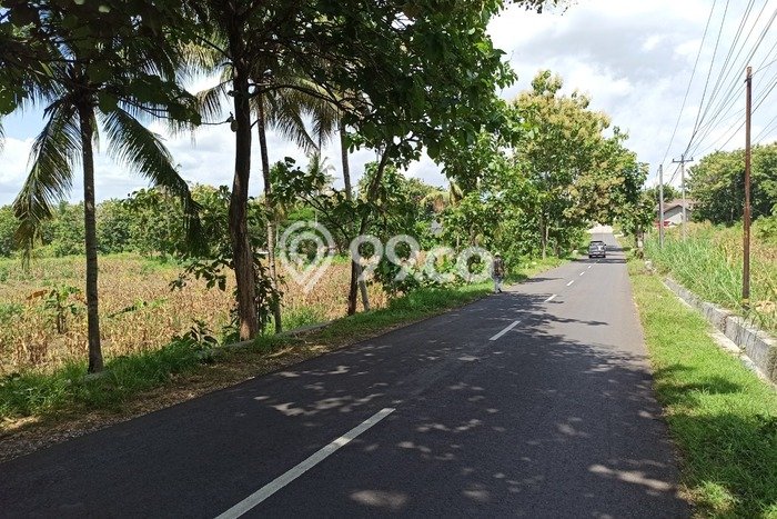 Tanah untuk Dijual di Pracimantoro Wonogiri Luas 10345m2 Tanah untuk Dijual di Pracimantoro Wonogiri Luas 10345m2