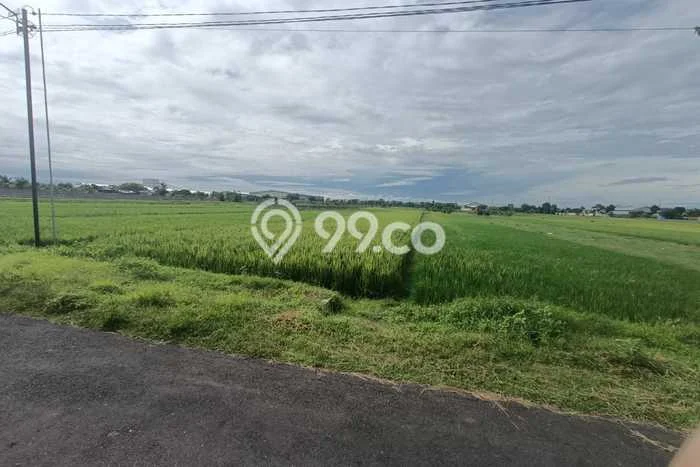 Lahan Strategis di Tasikmadu Dijual dengan Luas 3560m2 Lahan Strategis di Tasikmadu Dijual dengan Luas 3560m2