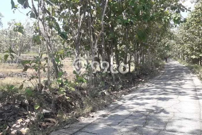 Lahan Investasi Lokasi Manyaran Wonogiri SHM Lahan Investasi Lokasi Manyaran Wonogiri SHM