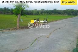 Tanah Dijual Lokasi Juwiring, Klaten Luas 3618m2 Legalitas Aman Tanah Dijual Lokasi Juwiring, Klaten Luas 3618m2 Legalitas Aman