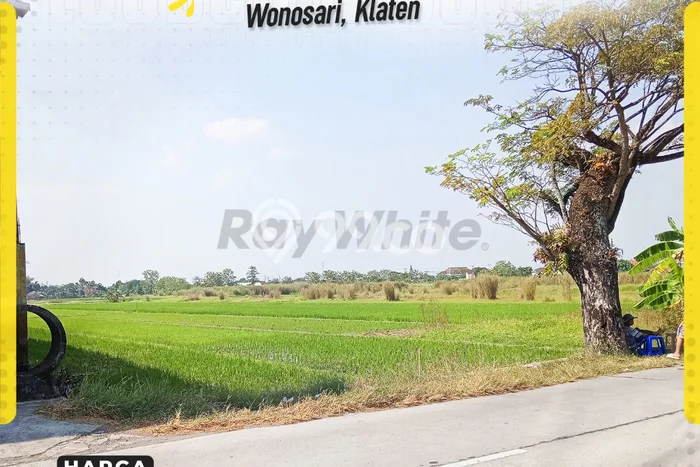 Lahan Investasi Lokasi Wonosari Klaten SHM Lahan Investasi Lokasi Wonosari Klaten SHM