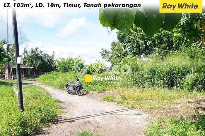 Tanah di Baki, Sukoharjo Luas 103m2 Dijual Segera Tanah di Baki, Sukoharjo Luas 103m2 Dijual Segera