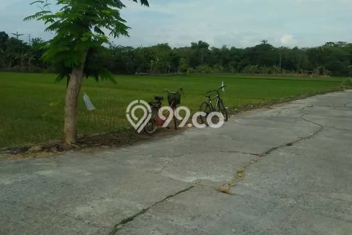 Tanah Dijual Lokasi Juwiring, Klaten Luas 3618m2 Legalitas Aman Tanah Dijual Lokasi Juwiring, Klaten Luas 3618m2 Legalitas Aman