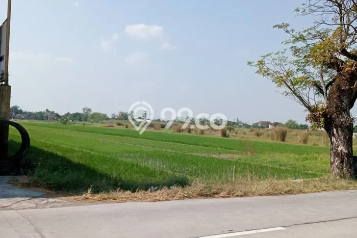Lahan Investasi Lokasi Wonosari Klaten SHM Lahan Investasi Lokasi Wonosari Klaten SHM
