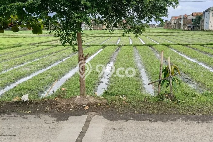 Untuk Dijual Tanah di Bandung, Luas 6375m2 SHM Untuk Dijual Tanah di Bandung, Luas 6375m2 SHM