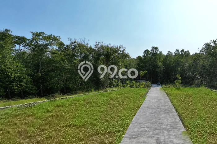 Tanah Area Berkembang Kawasan Wates, Luas 95m², Cocok untuk Pengembangan Tanah Area Berkembang Kawasan Wates, Luas 95m², Cocok untuk Pengembangan