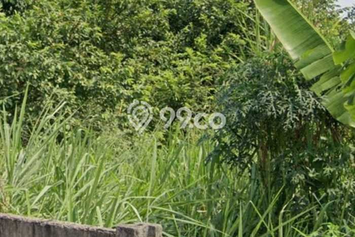 Untuk Dijual Tanah di BSD Tangerang Selatan Luas 6000m2 SHM Untuk Dijual Tanah di BSD Tangerang Selatan Luas 6000m2 SHM