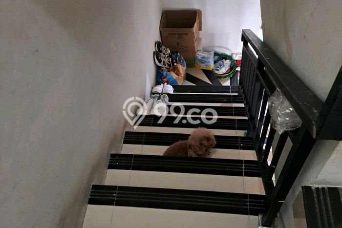 Hunian Nyaman Asri 2 KT Siap Huni di Pegadungan Jakarta Barat Hunian Nyaman Asri 2 KT Siap Huni di Pegadungan Jakarta Barat