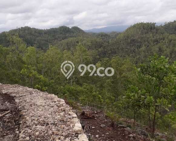 Tanah Dijual Lokasi Punung, Pacitan Luas 32000m2 Legalitas Aman Tanah Dijual Lokasi Punung, Pacitan Luas 32000m2 Legalitas Aman