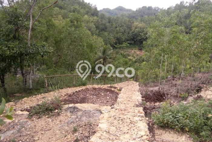 Tanah Dijual Lokasi Punung, Pacitan Luas 32000m2 Legalitas Aman Tanah Dijual Lokasi Punung, Pacitan Luas 32000m2 Legalitas Aman