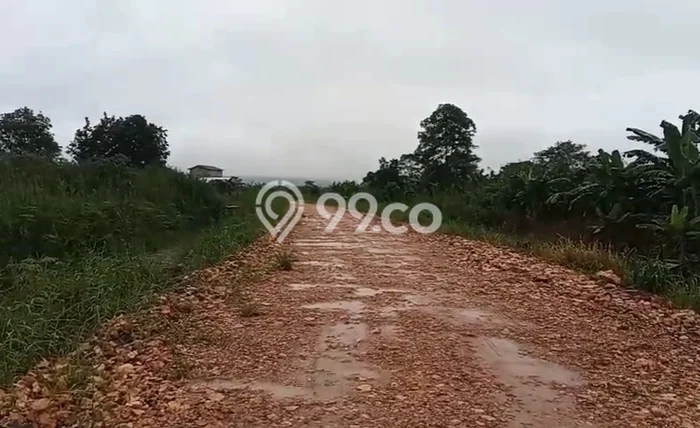Lahan untuk Dijual Lokasi Sangatta Utara, Kutai Timur Luas 10000m2 SHM Lahan untuk Dijual Lokasi Sangatta Utara, Kutai Timur Luas 10000m2 SHM