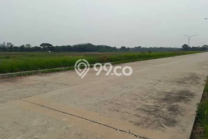 Jarang Ada! Tanah di Ciruas Punya Luas 20000m2 SHM Jarang Ada! Tanah di Ciruas Punya Luas 20000m2 SHM