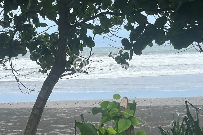 Tanah Dijual di Tabanan Seluas 1800m2 Strategis Tanah Dijual di Tabanan Seluas 1800m2 Strategis
