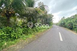 Tanah Dijual Lokasi Selemadeg, Tabanan dengan Luas Tanah 4300m2 dan Status SHM Tanah Dijual Lokasi Selemadeg, Tabanan dengan Luas Tanah 4300m2 dan Status SHM