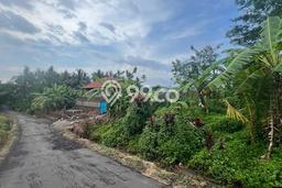 Tanah Dijual Lokasi Selemadeg, Tabanan dengan Luas Tanah 1250m2 dan Status SHM Tanah Dijual Lokasi Selemadeg, Tabanan dengan Luas Tanah 1250m2 dan Status SHM