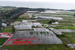 Tanah Strategis Dijual di Kerambitan Tabanan 3000m2 Tanah Strategis Dijual di Kerambitan Tabanan 3000m2
