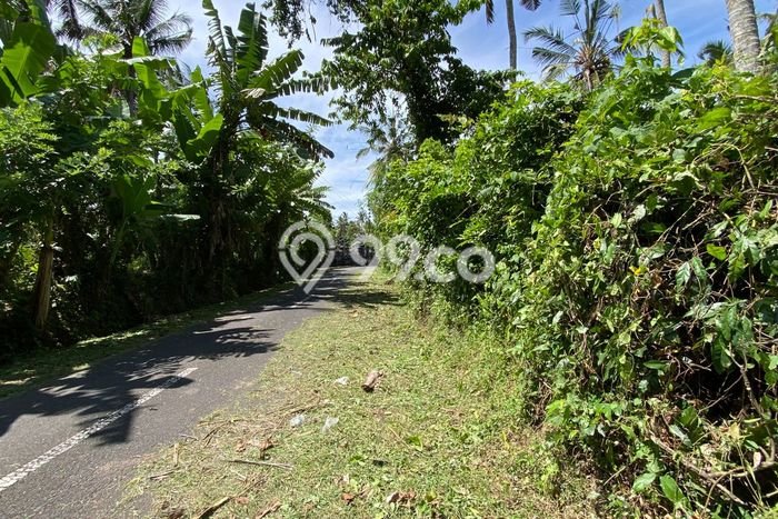 Lahan Kosong Dijual di Selemadeg, Tabanan, Luas 9120m2 Area Strategis Lahan Kosong Dijual di Selemadeg, Tabanan, Luas 9120m2 Area Strategis
